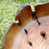 «bowl 3»